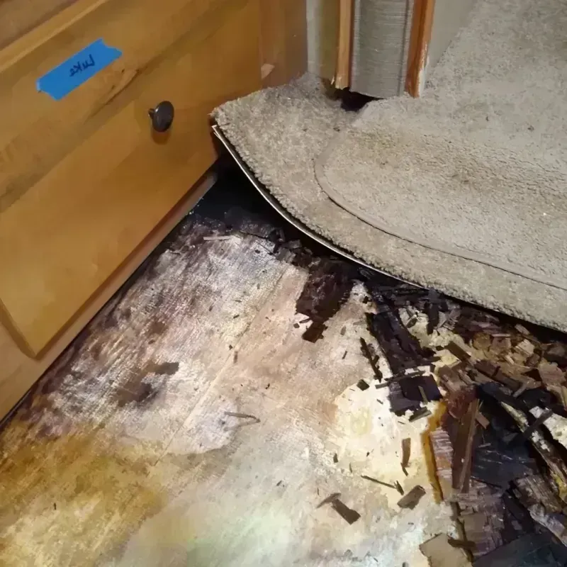 Wood Floor Water Damage in City of Bristol, VA